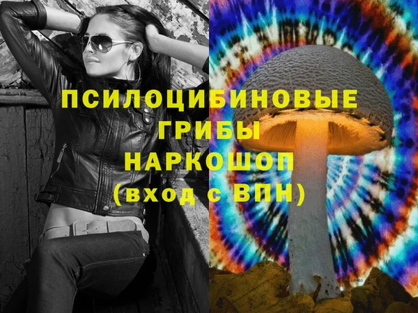 дмт Балахна