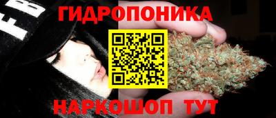 гашиш Новокубанск
