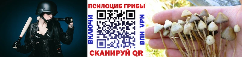 магазин продажи наркотиков  Бор  Псилоцибиновые грибы Psilocybine cubensis 