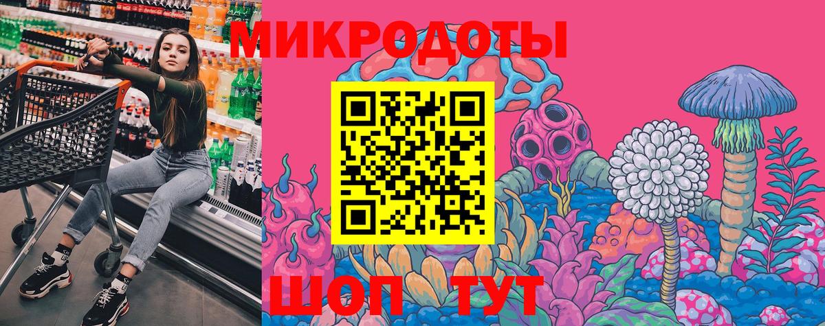 Бор  Псилоцибиновые грибы Psilocybe  Вход с VPN 